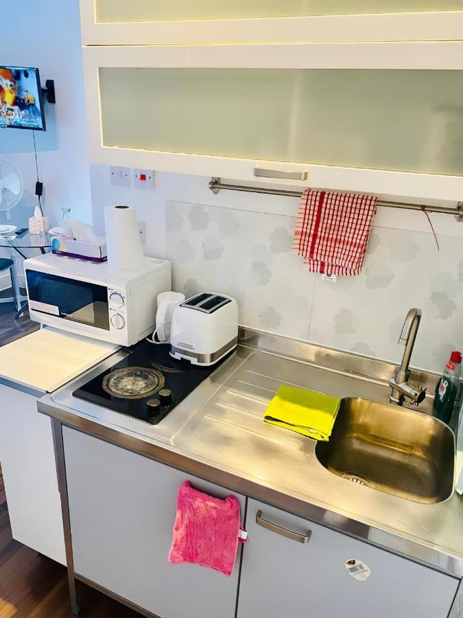 One Bed Studio Flat In Central London Londres Exterior foto